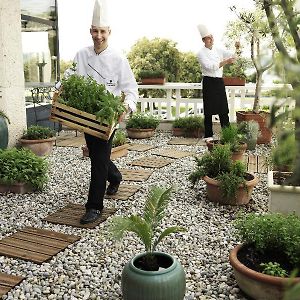 Hotel Neptun - Lifeclass Hotels & Spa